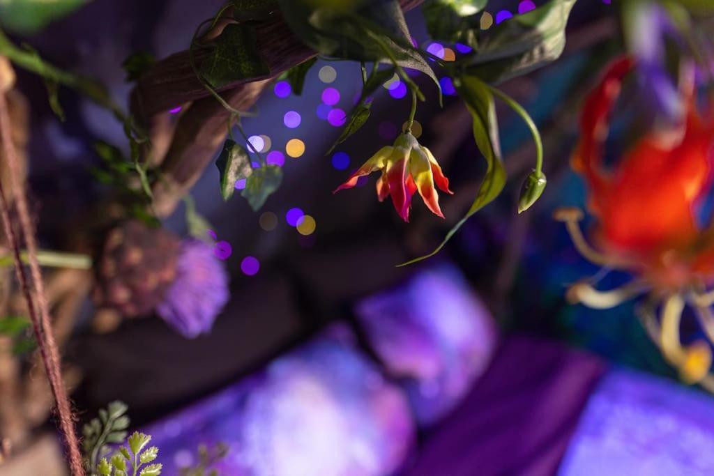 Avataar - L'Arbre De Pandoraa Apartman Belfort Kültér fotó