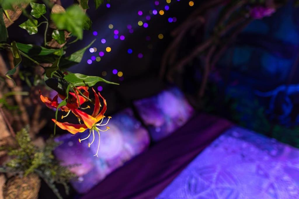 Avataar - L'Arbre De Pandoraa Apartman Belfort Kültér fotó